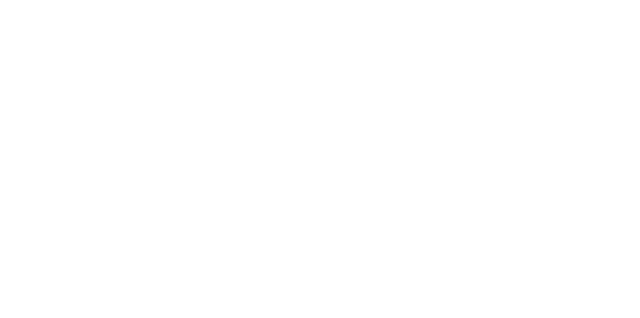 The Beatle Boys